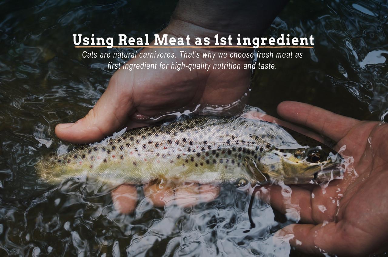 Корм сухий Cherie Dry Food Healthy Skin and Coat Salmon Entrеes для кішок з лососем 2 кг (603075) - фото 3