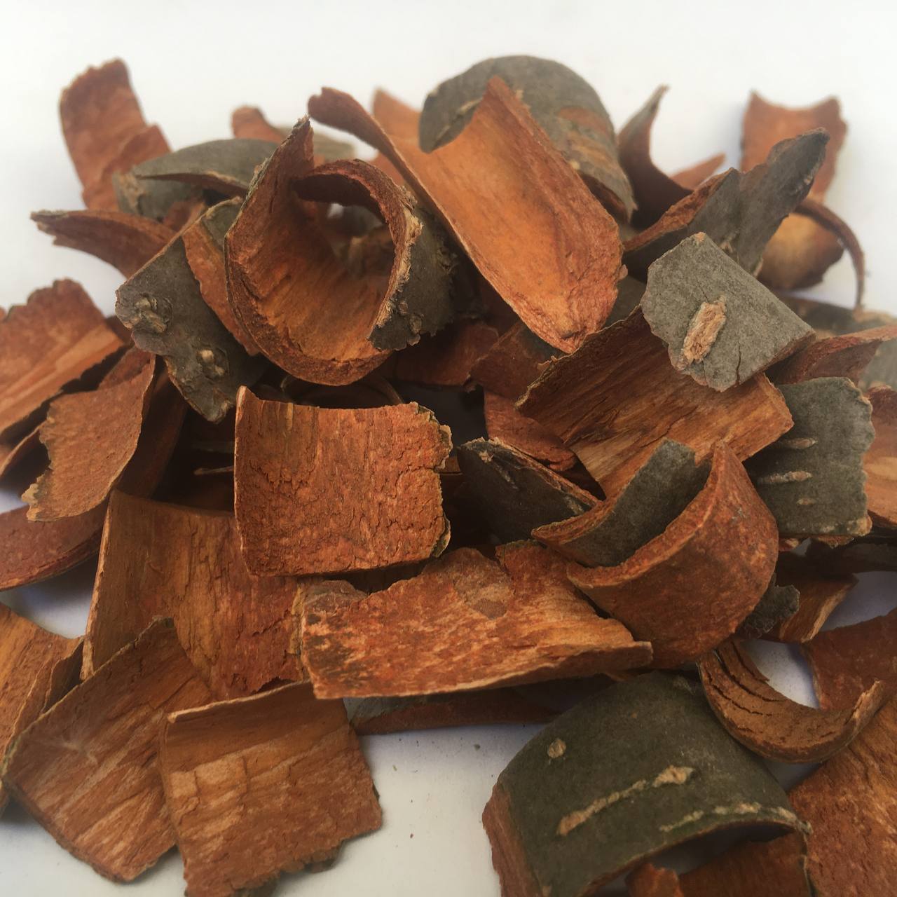 Ольха черная кора Карпаты 50 г (6284c205cfe46442e50fc642)