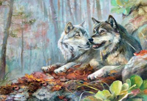 Картина по номерам Josef Otten Животные Волки в лесу 40х50 см в термопакете (3148RA_O-mt)