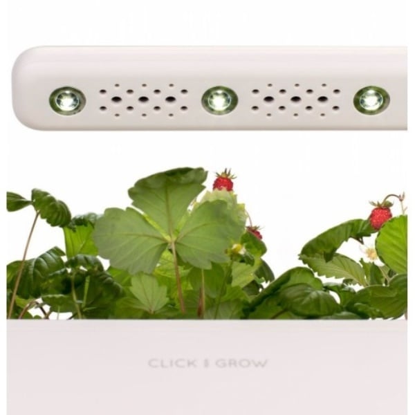 Набор стартовый Click and Grow Smart Garden SG3 7212 прямоугольный бежевый (103668) - фото 4