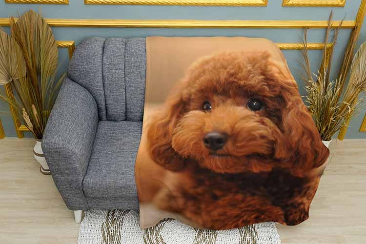 Плед Red poodle плюш двухслойный 135х150 см (113453-2)