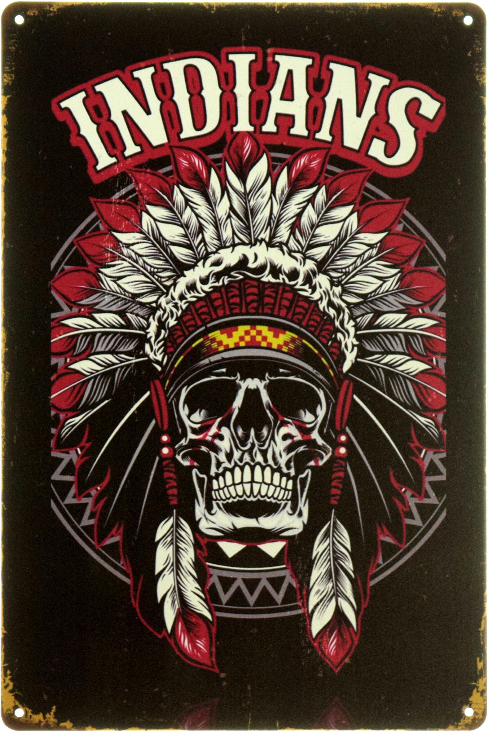 Табличка металева "Indians" 20x30 см (ms-104044)