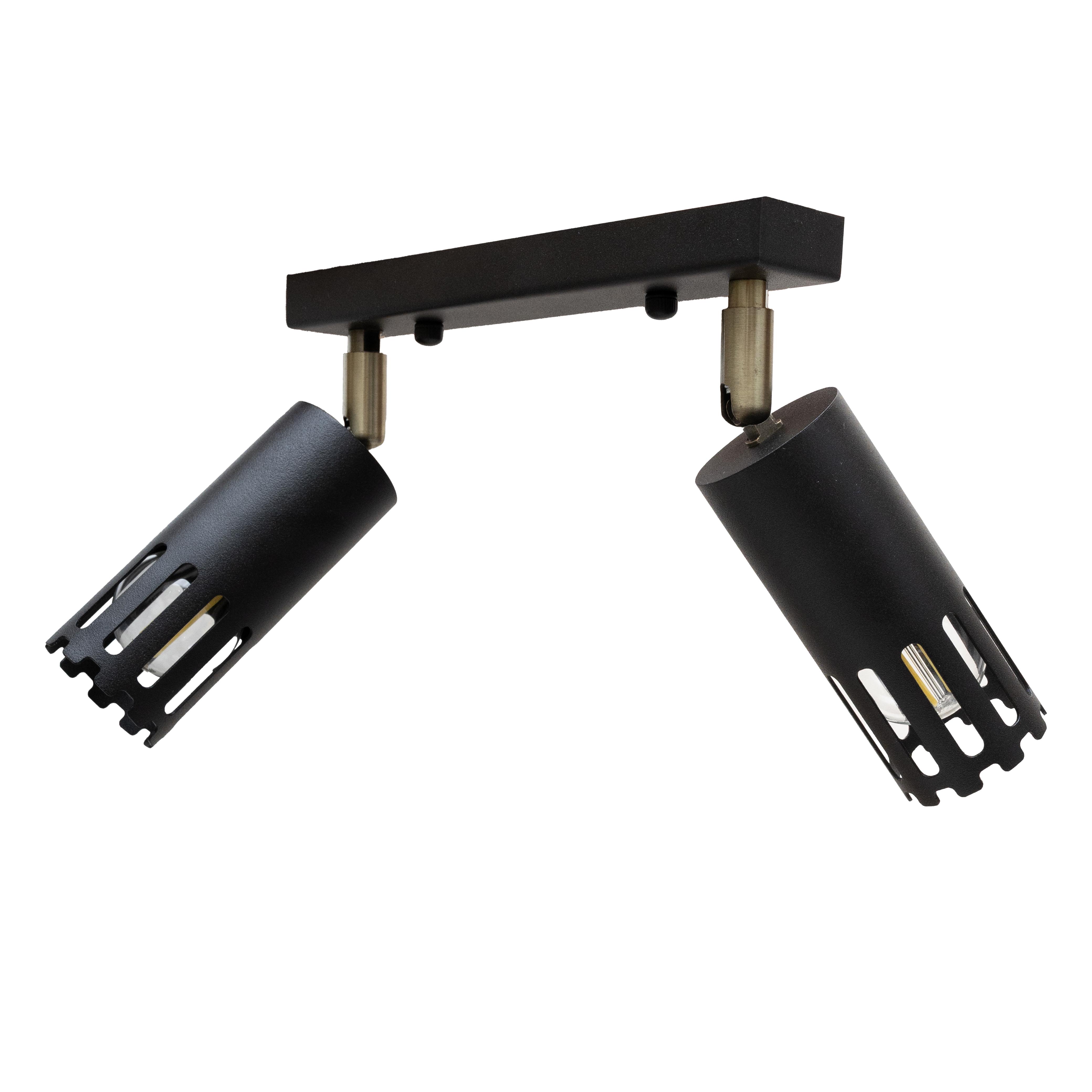 Светильник потолочный MSK ELECTRIC Teramo NL 180501-2 BK спот поворотный на два плафона Черный