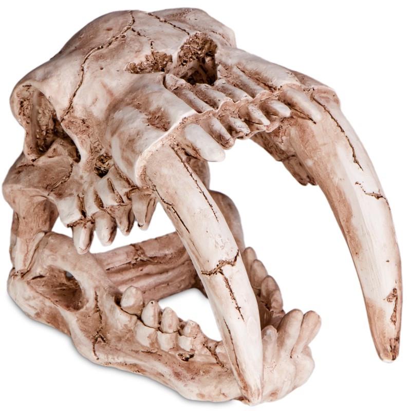 Декорация череп тигра Terrario Sabertooth Skull 13x8,5x11 см (TR15911)