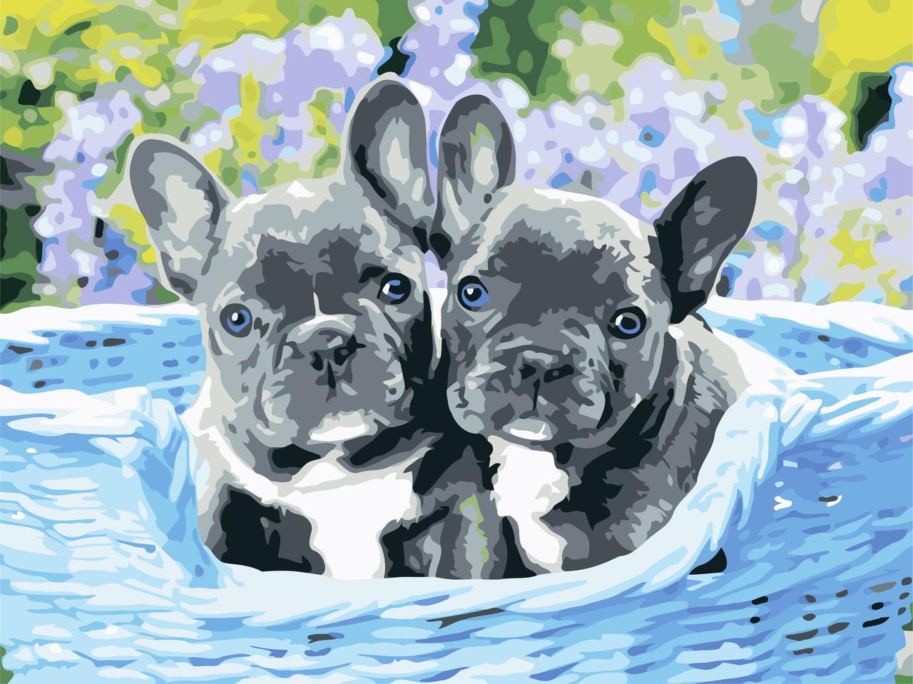 Картина по номерам ArtStory Два песика 30x40 см (AS0596)