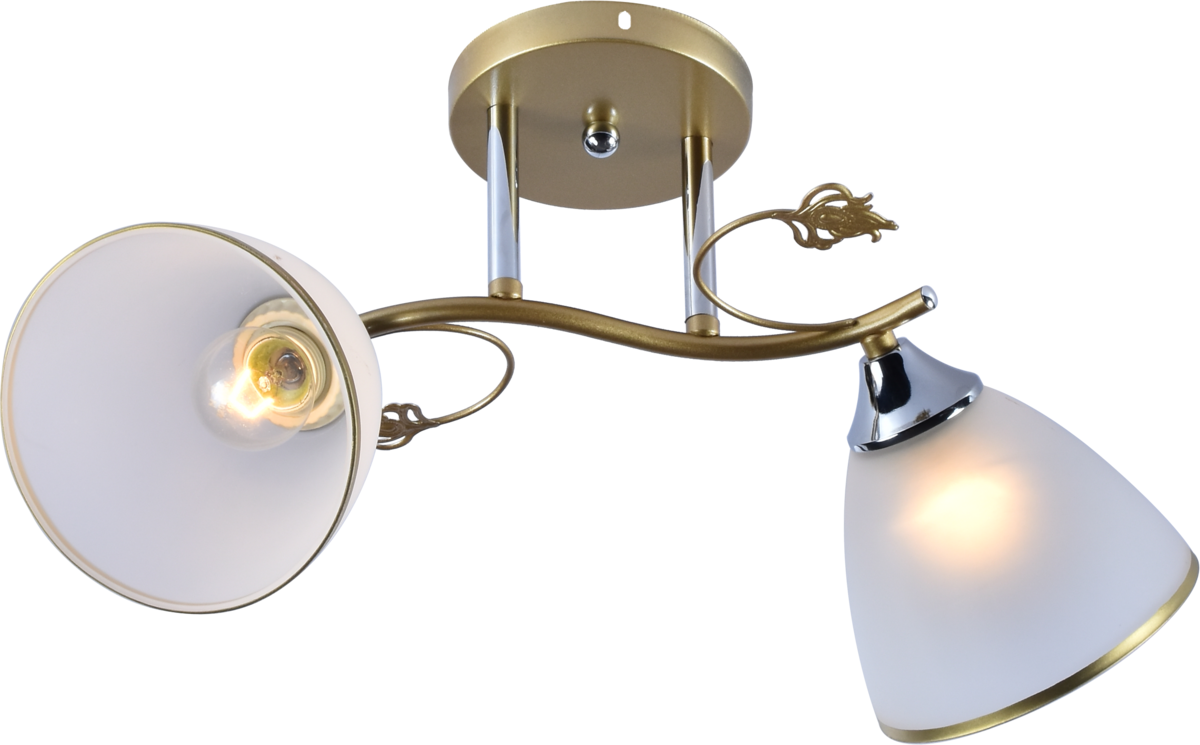 Люстра потолочная Light House SRS-20703/2 плафон белый матовый с каймой Золотой/Хром Люстра потолочная Light House SRS-20703/2 плафон белый матовый с каймой Золотой/Хром
