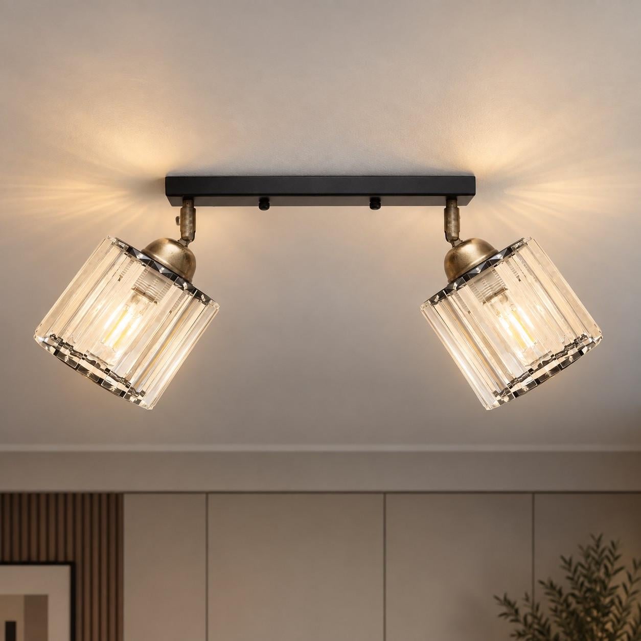 Светильник-спот настенно-потолочный MSK ELECTRIC Brillante на два плафона из стекла под лампу Е27 Черный (NL 121251-2 BK)