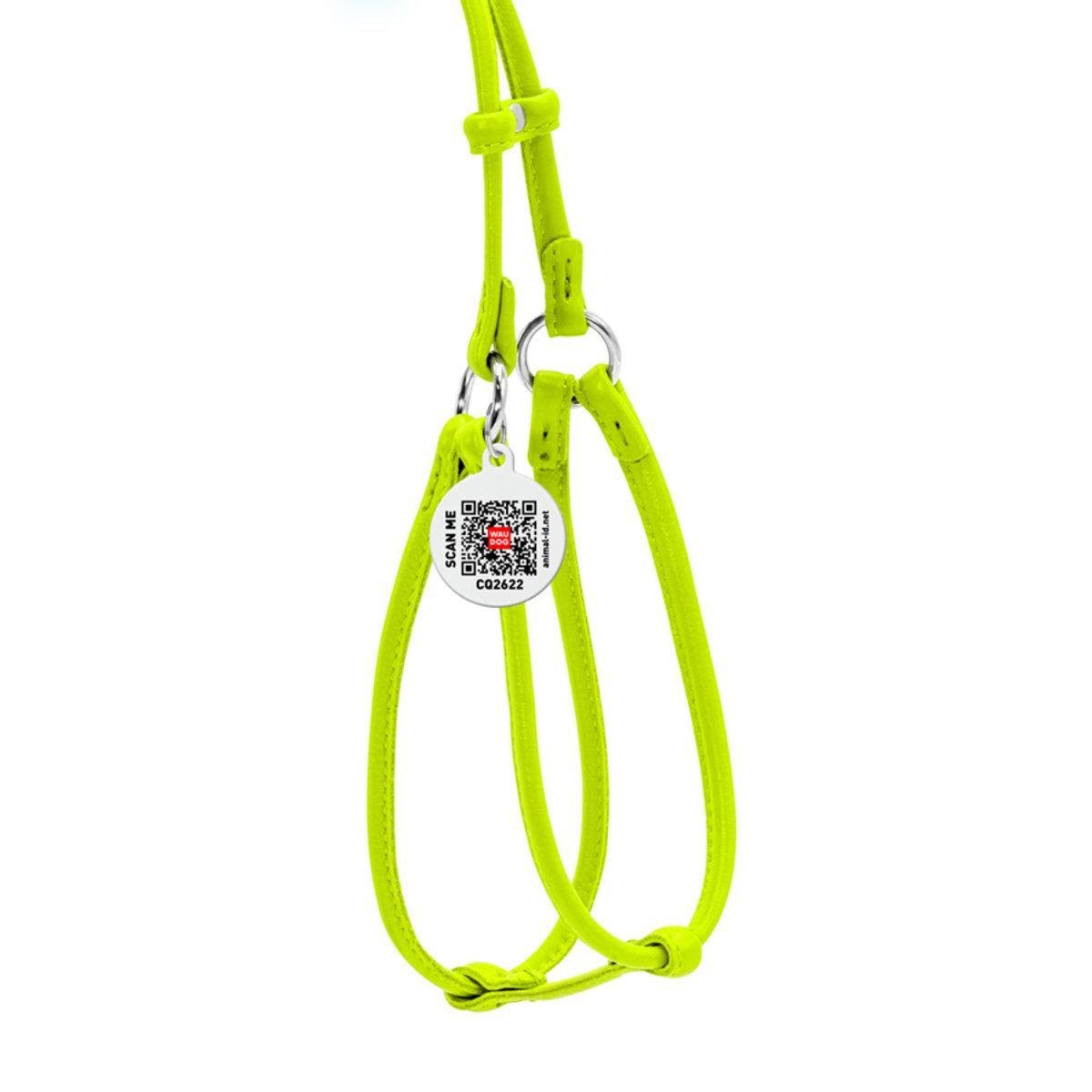 Шлея с поводком для собак Waudog Glamour с QR паспортом/круглая/кожаная 6 мм х 42-60 см х 46-64 см Салатовый (34025 Col)