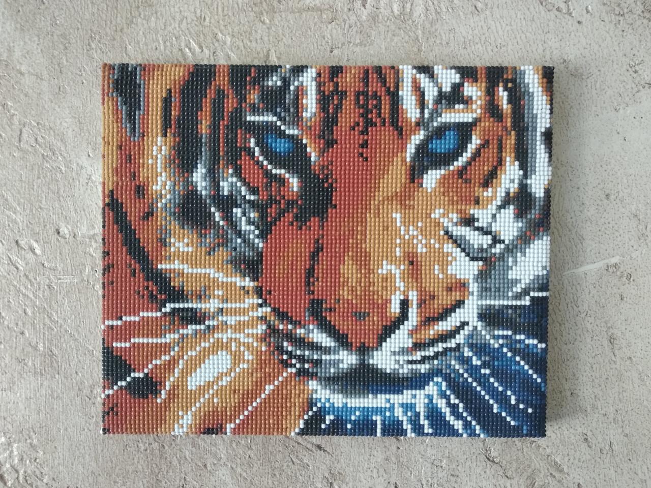 Готовая картина алмазная мозаика Глаза тигра 30x24 см (Diy-Q1005)