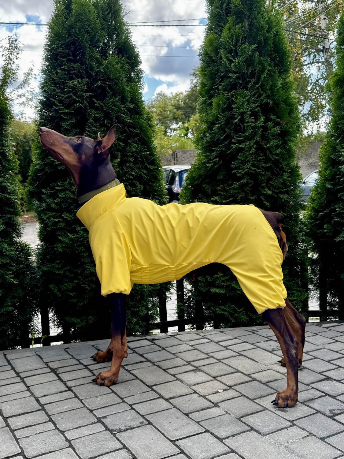 Дощовик для собак Waudog Clothes водонепроникний L55 Жовтий (19918) - фото 9 Дощовик для собак Waudog Clothes водонепроникний L55 Жовтий (19918) - фото 9