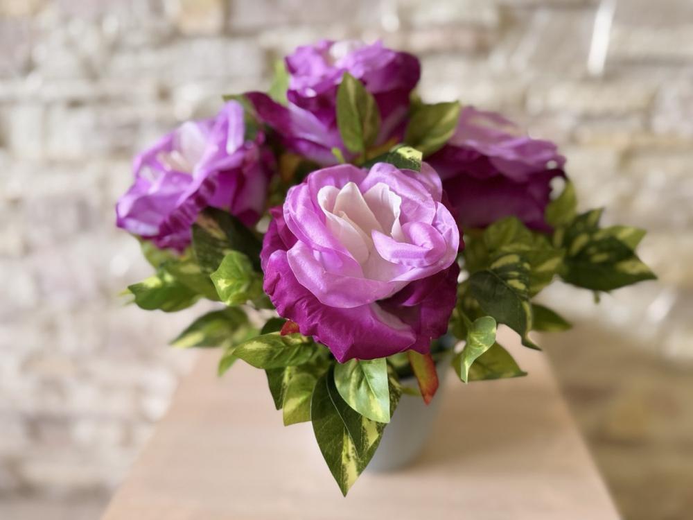 Букет светло-фиолетовой розы с зеленью в горшке Пластмакс (R0807) Букет светло-фиолетовой розы с зеленью в горшке Пластмакс (R0807)