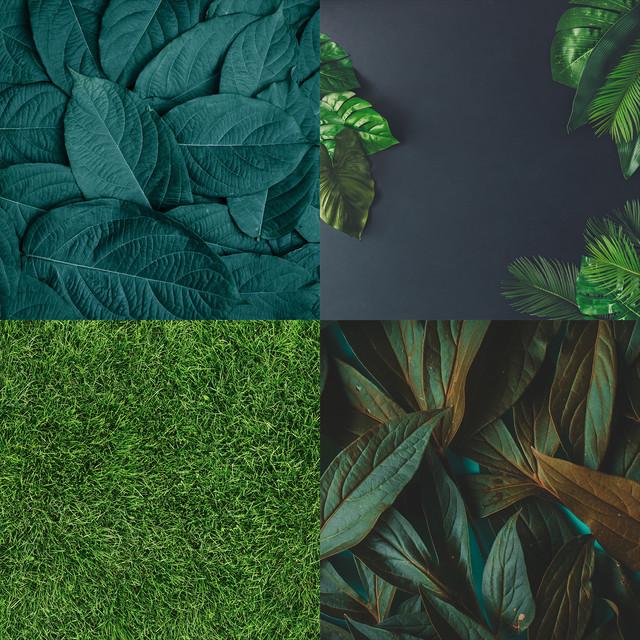 Фотофон вініловий 160x160 см 4в1 Frontlit 450 г/м2 №54091