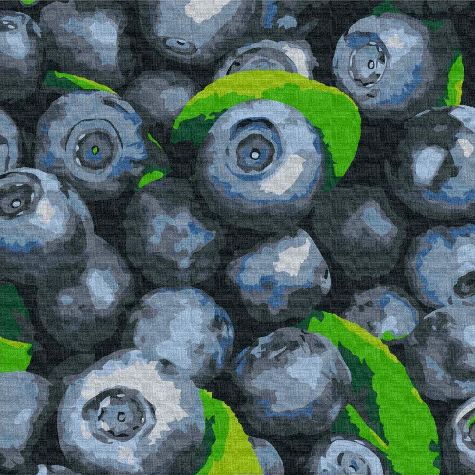 Картина за номерами Ideyka Соковита лохина KHO5650 25х25 см (RLT24776)