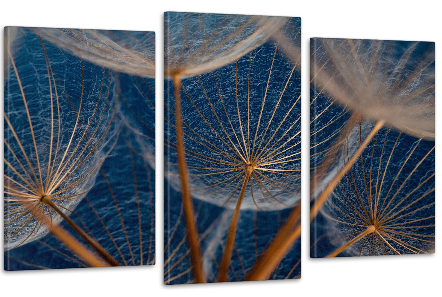 Картина модульная в гостиную/спальню Одуванчики 53х100 см (Art-635_3)