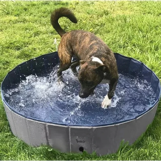 Бассейн-манеж складной Purlov для купания и охлаждения собак нескользящее дно 100х30 см (20929) - фото 4