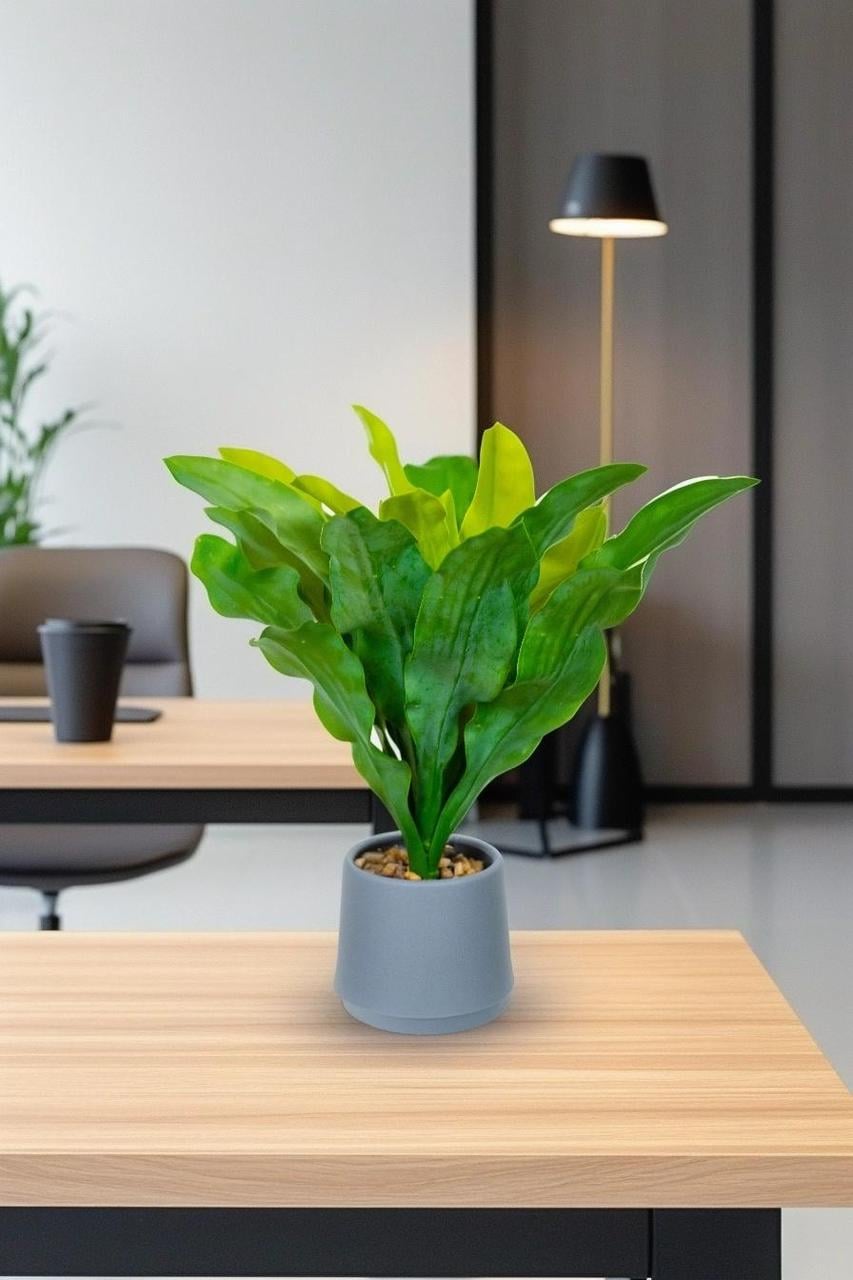 Искусственное растение Эхинодорус Greenflowers 211779 50 см