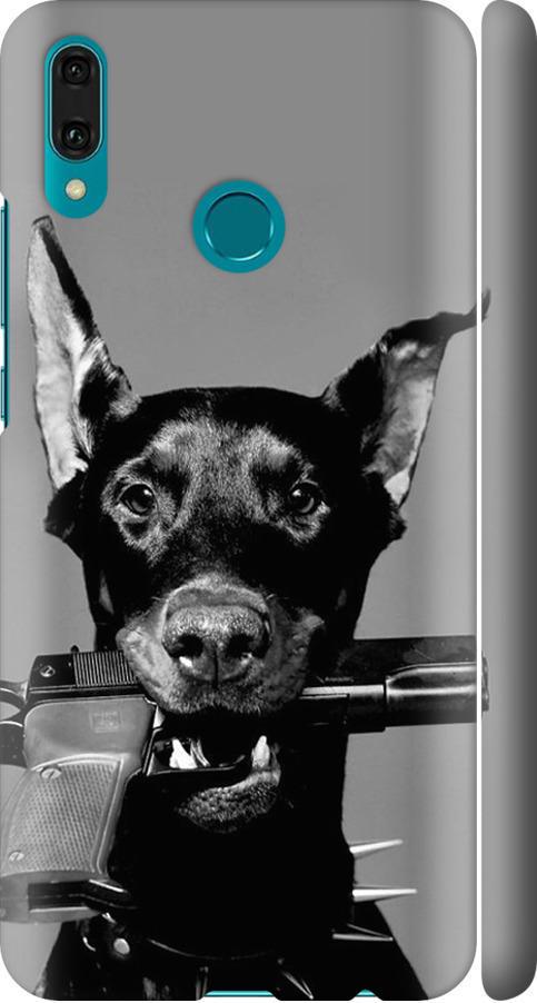 Чехол на Huawei Y9 2019 Доберман (2745m-1602-42517) Чехол на Huawei Y9 2019 Доберман (2745m-1602-42517)