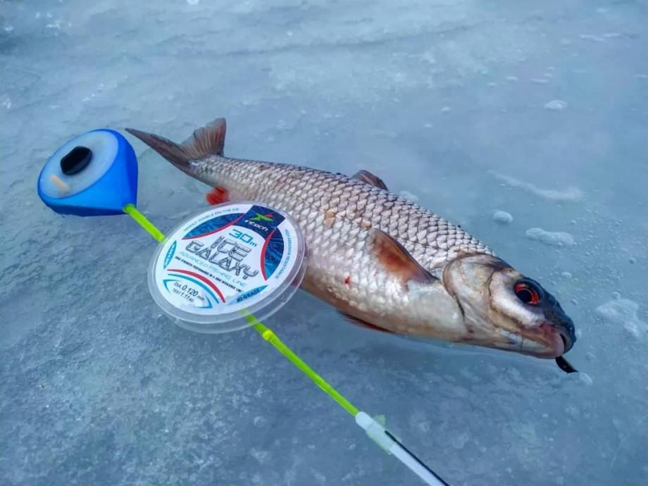 Ліска зимова Intech Galaxy Ice Line 30 м 0,148 мм (842) - фото 2 Ліска зимова Intech Galaxy Ice Line 30 м 0,148 мм (842) - фото 2