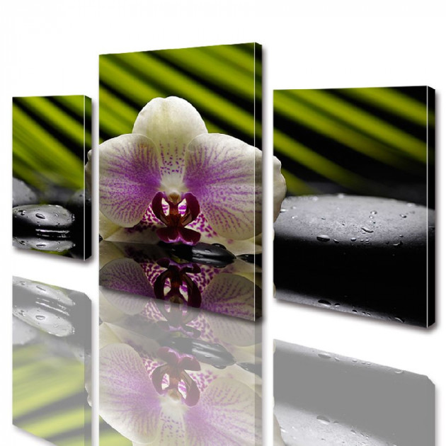 Картина модульная ArtStar Орхидея на камнях ADFL0009 120х180 см 3 части