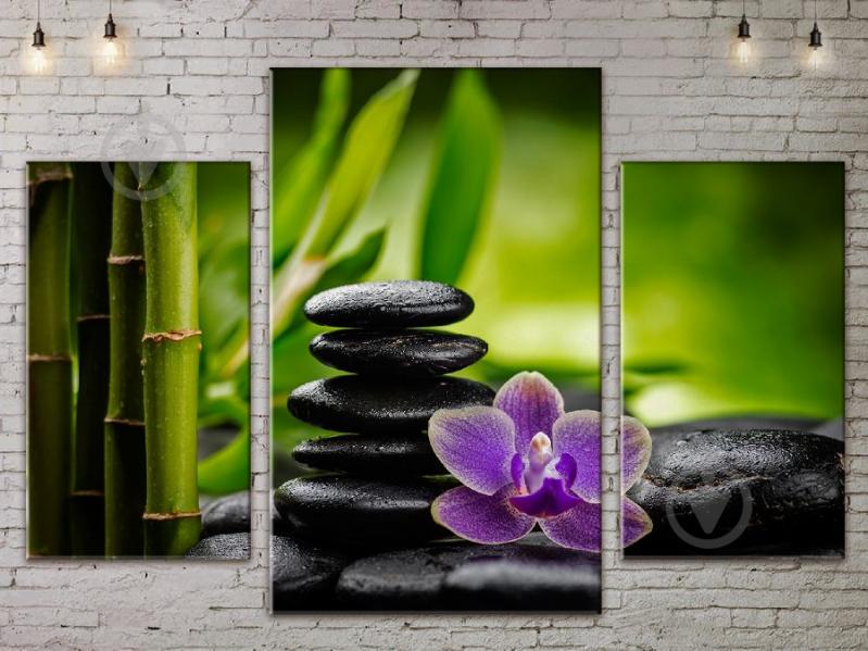 Модульная картина ArtStar цветы Орхидея ADFL0115 размер 70 х 105 см