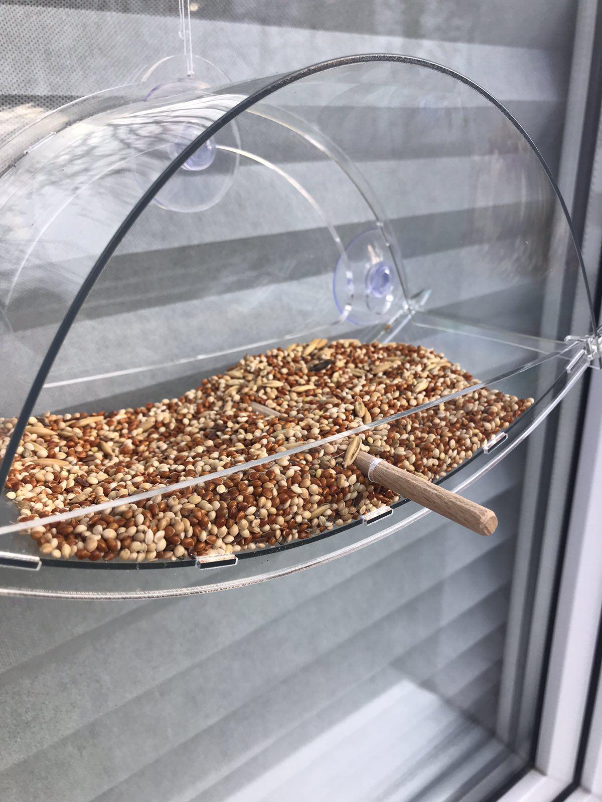 Кормушка на окно ТРЕСТ на присосках Прозрачный (0002123) - фото 3 Кормушка на окно ТРЕСТ на присосках Прозрачный (0002123) - фото 3