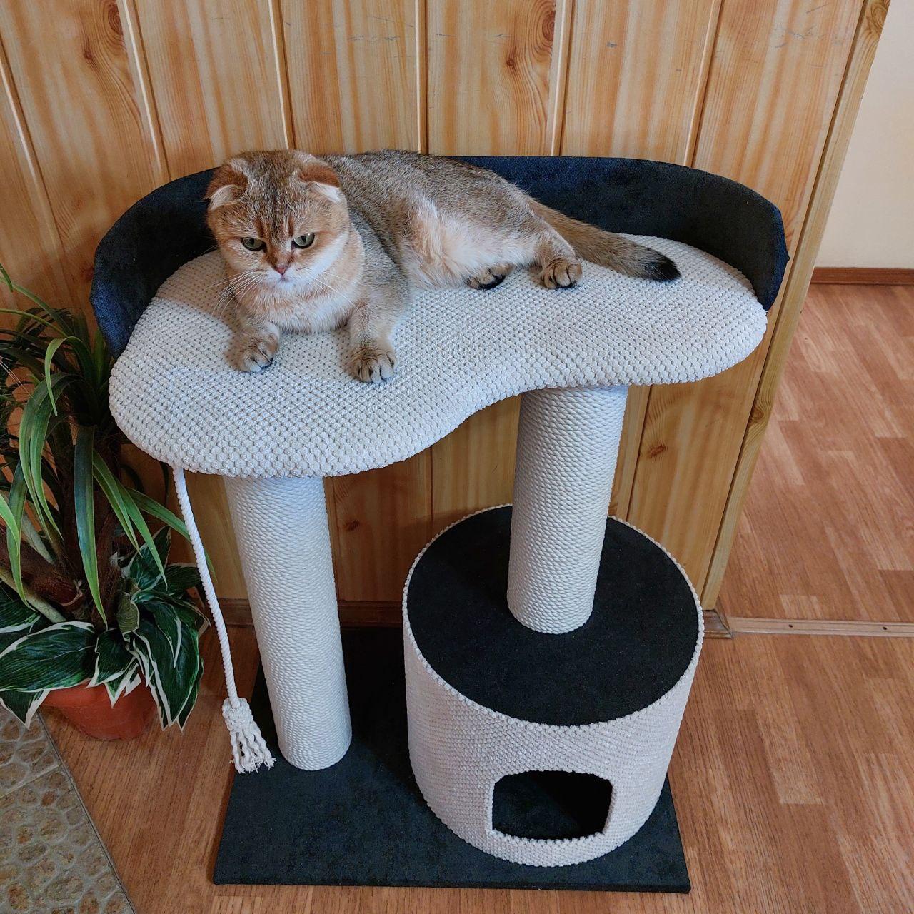 Когтеточка кошачья с домиком для кота кошки в канате