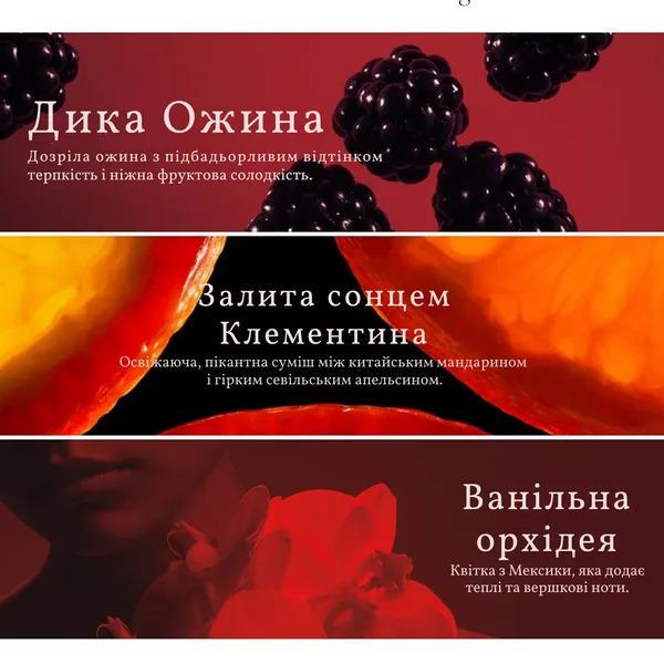 Парфуми Victoria's Secret Very Sexy Eau de Parfum 100 мл (26215491_02) - фото 5