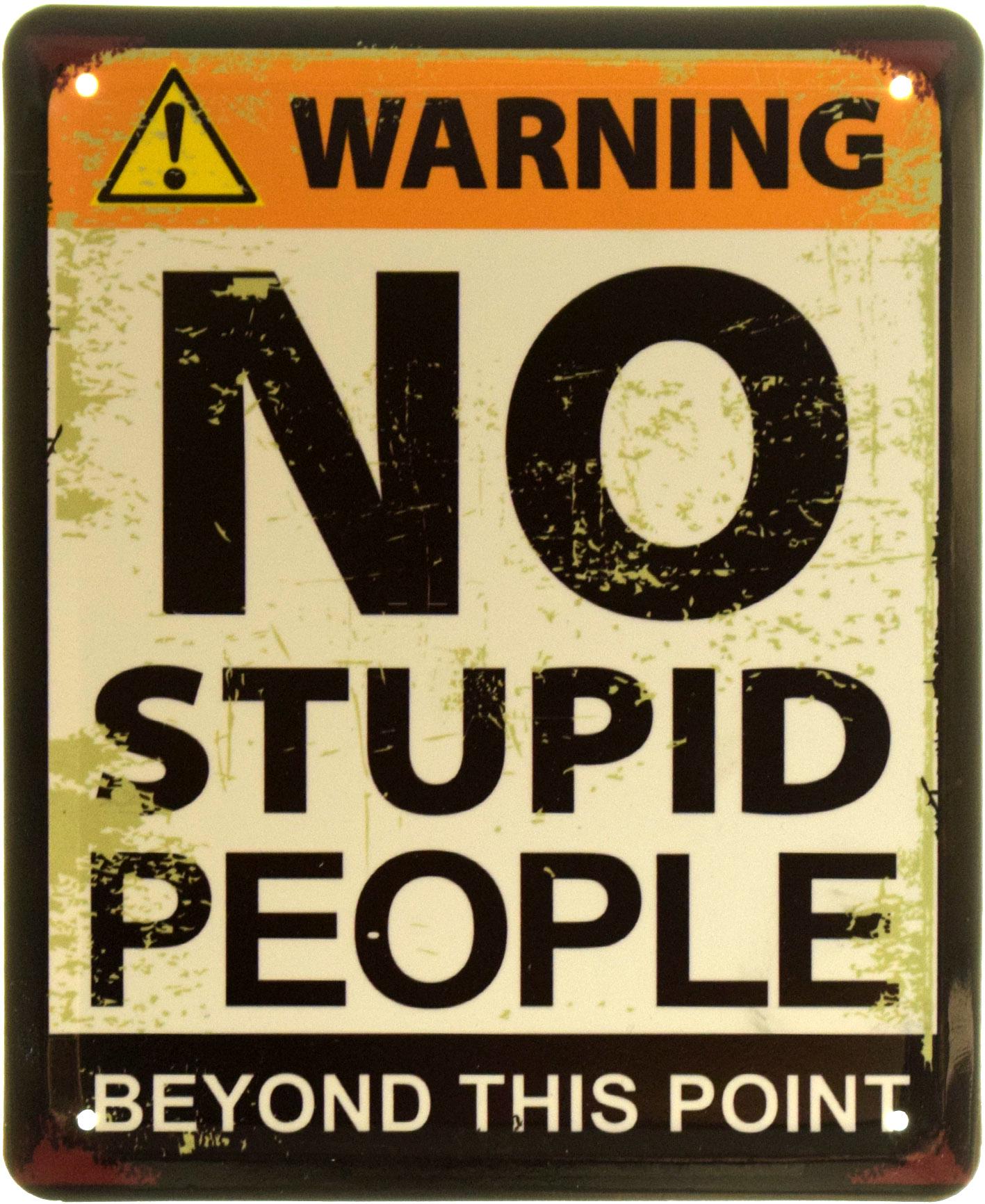 Табличка металева "Warning No Stupid People Beyond This Point" 18x22 см (ms-103862)