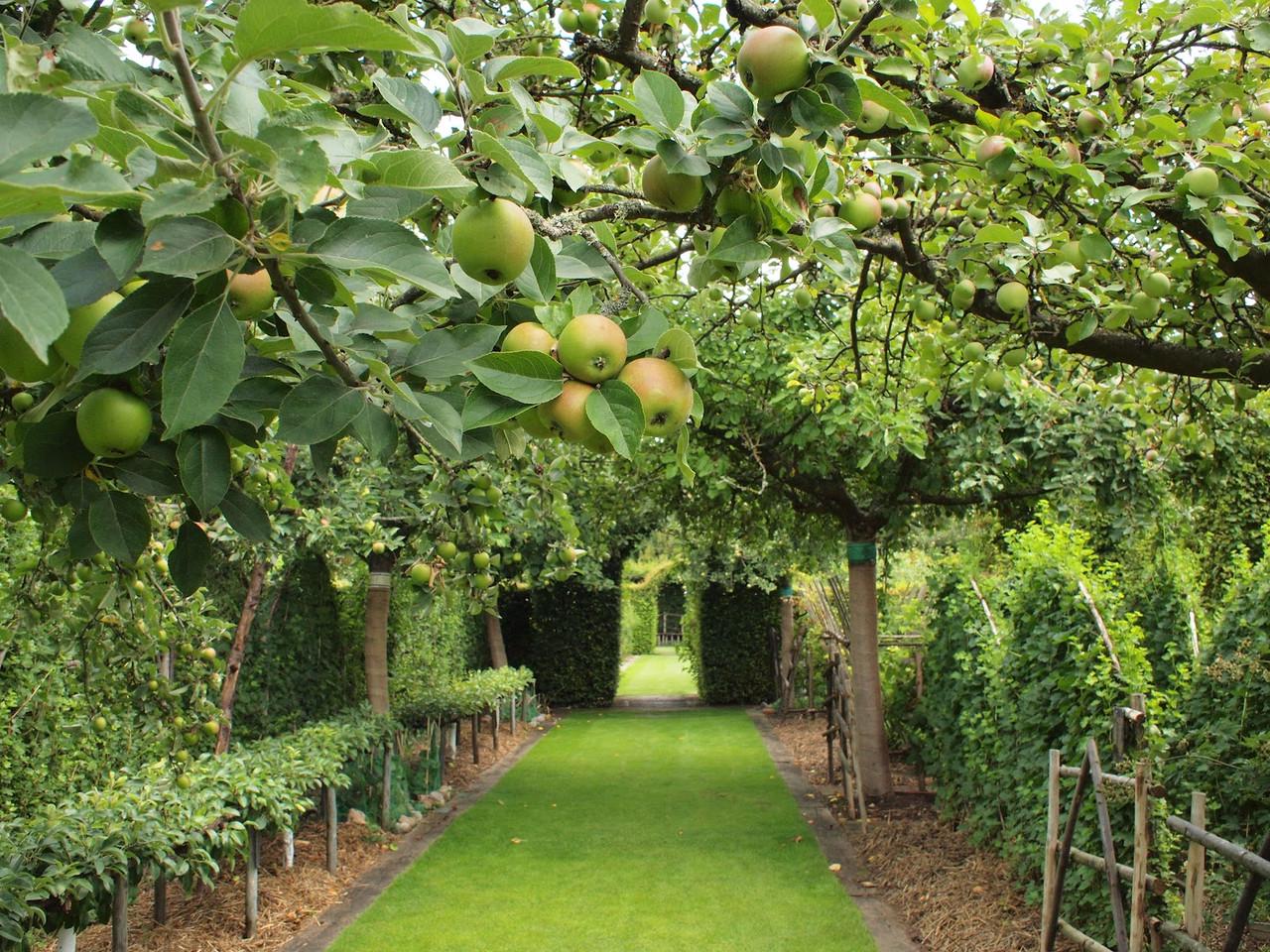 Фунгіцид Protect garden Магнікур Стар 520 SC К.С 5 мл (3664715029495) - фото 3