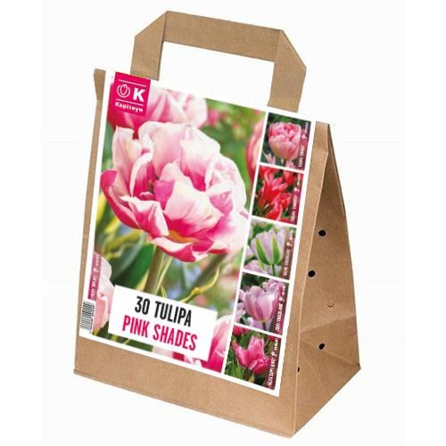 Тюльпан Floriumы Pink Shades (15310)