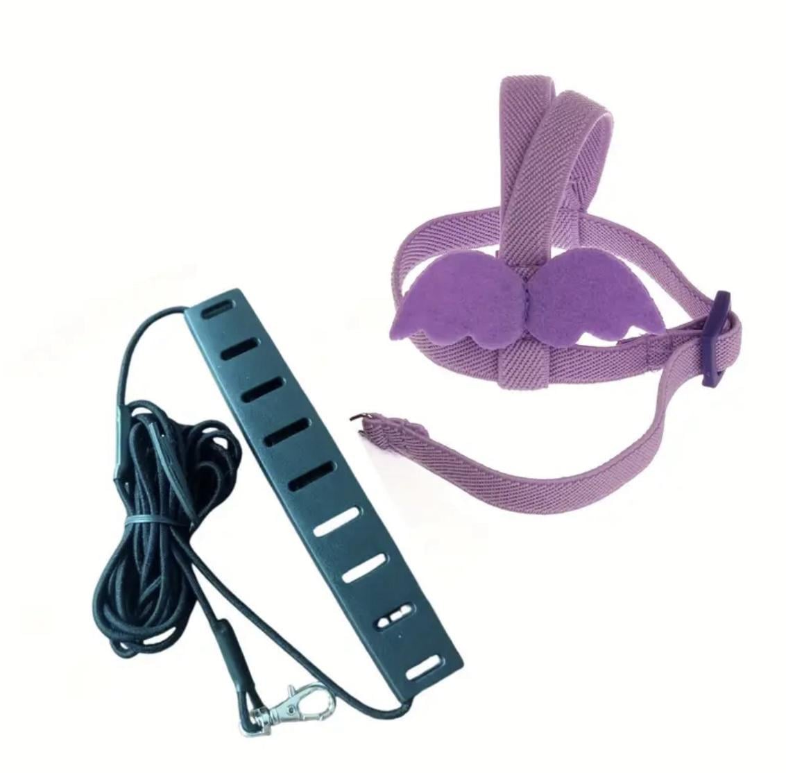 Шлея з повідцем для папуг RORI 200 см Фіолетовий (4645)