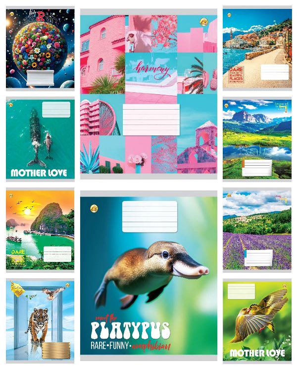 Зошити учнівські Тетрада Мікс 4 48 аркушів лінія 10 шт. в упаковці