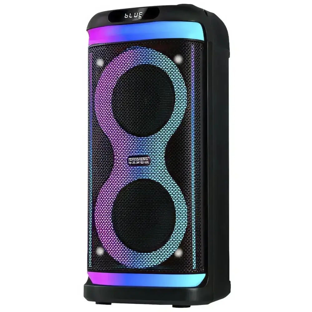 Портативная Bluetooth колонка Temeisheng 6620A с 2 радиомикрофонами и светомузыкой