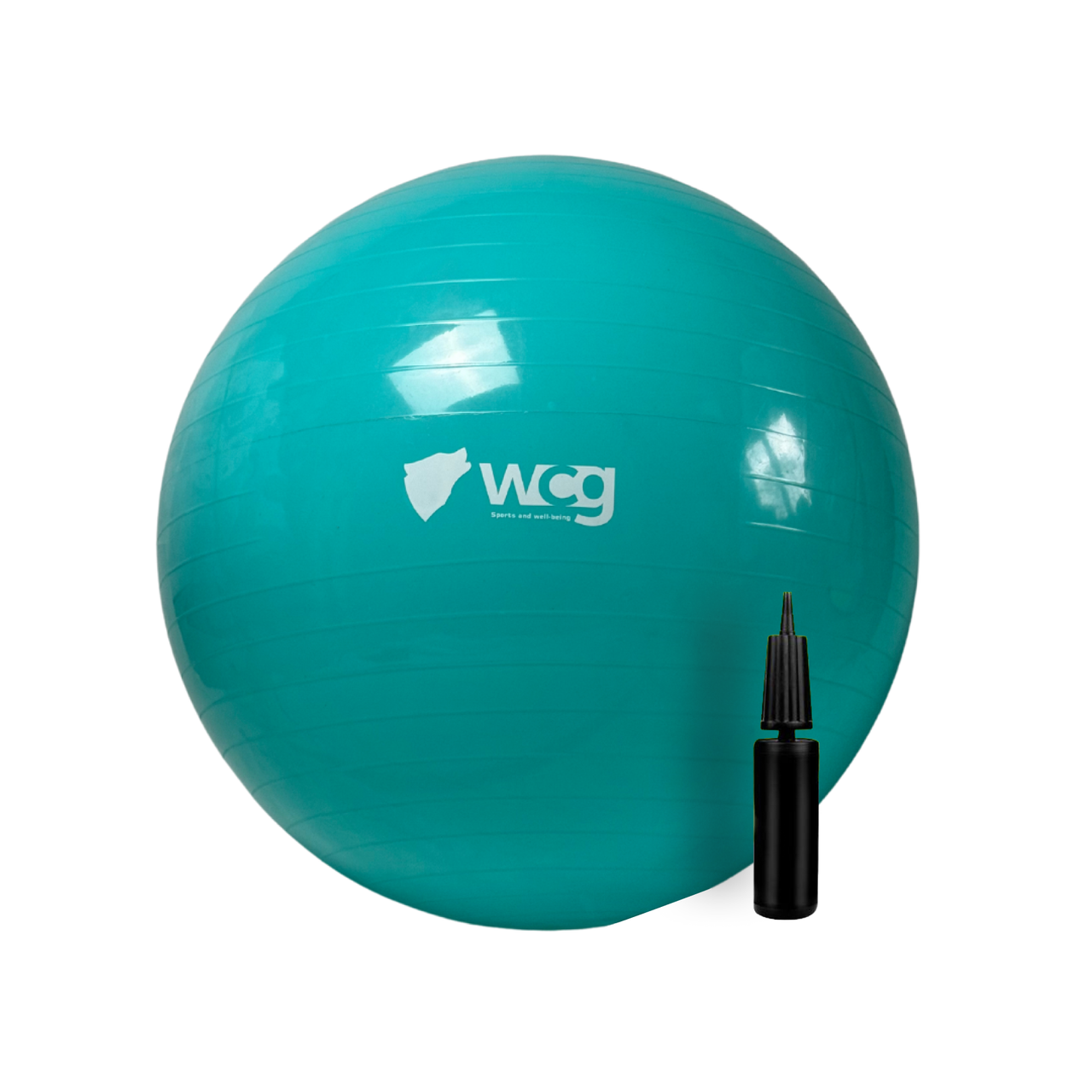 Фитбол WCG Anti-Burst с насосом 65 см до 300 кг Бирюзовый