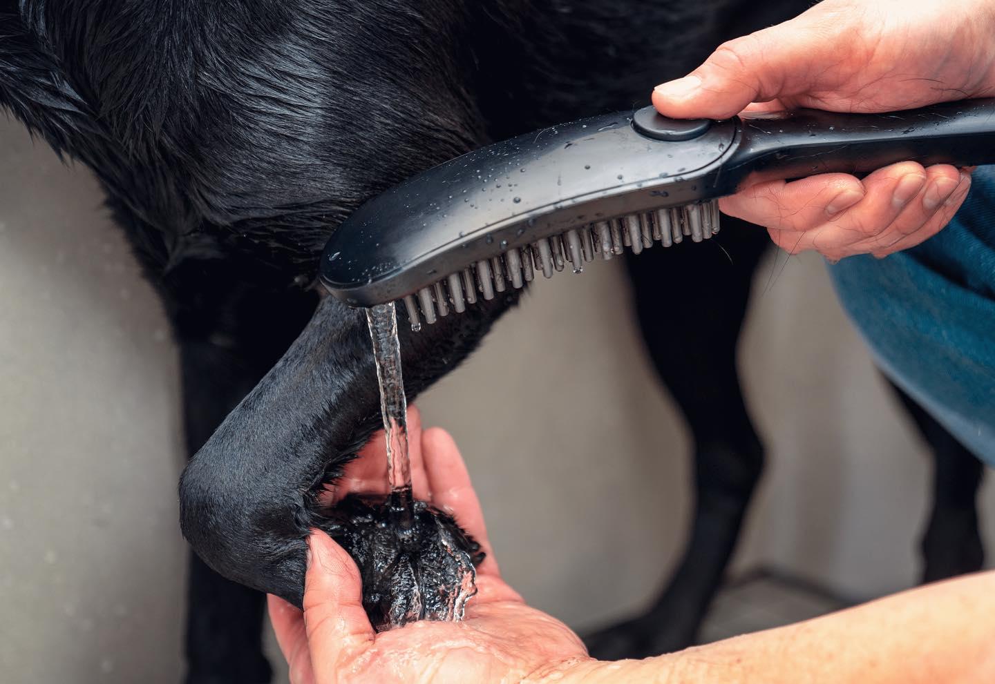 Ручний душ Нansgrohe DogShower 150 3Jet Black (26640670) - фото 5