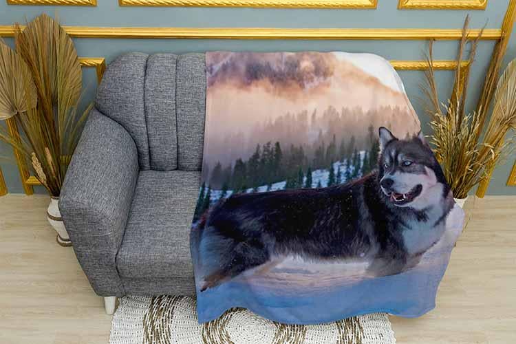 Плед Husky in winter плюш однослойный 135х150 см (113465)