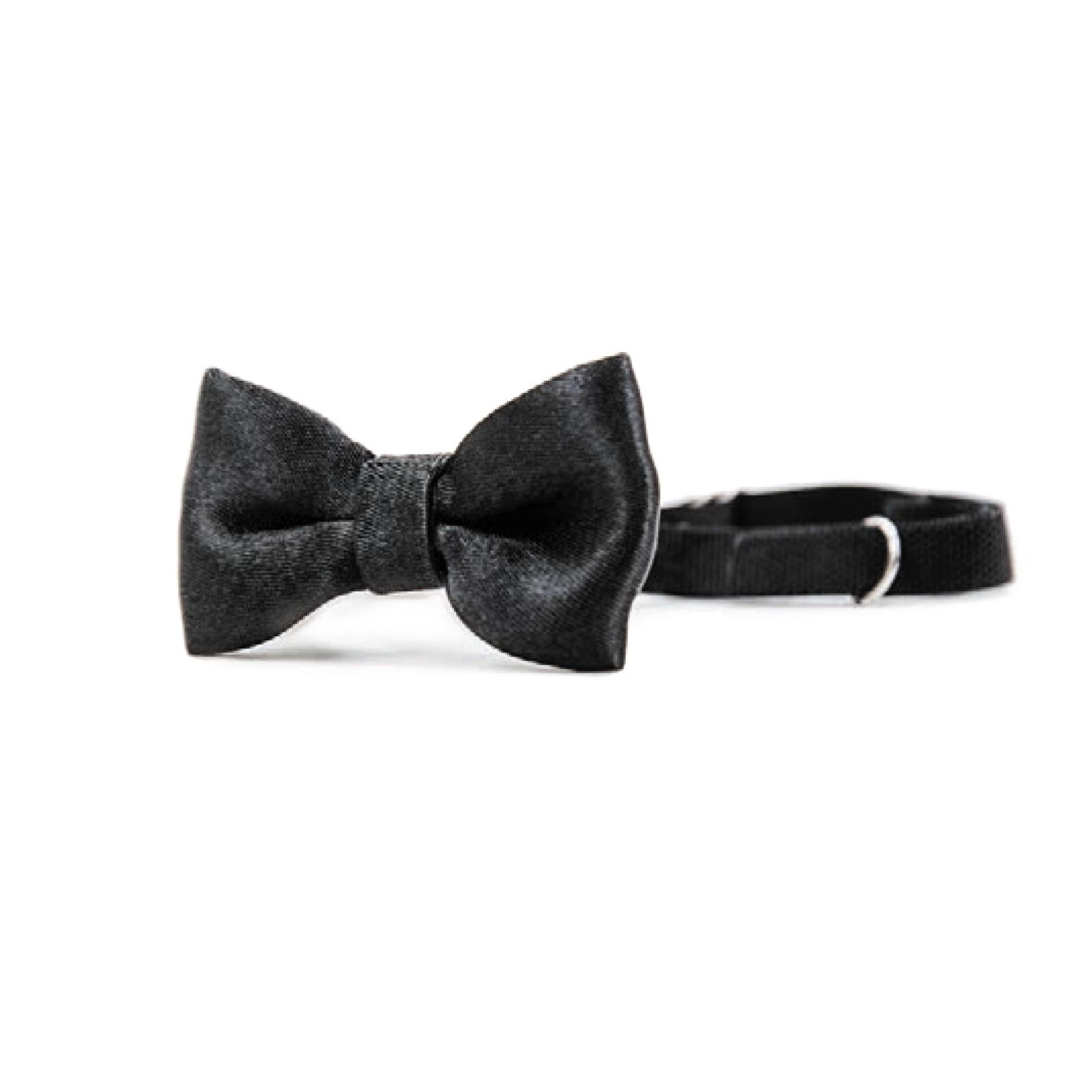 Бабочка Pet Fashion XS-M Черный (PR242114)