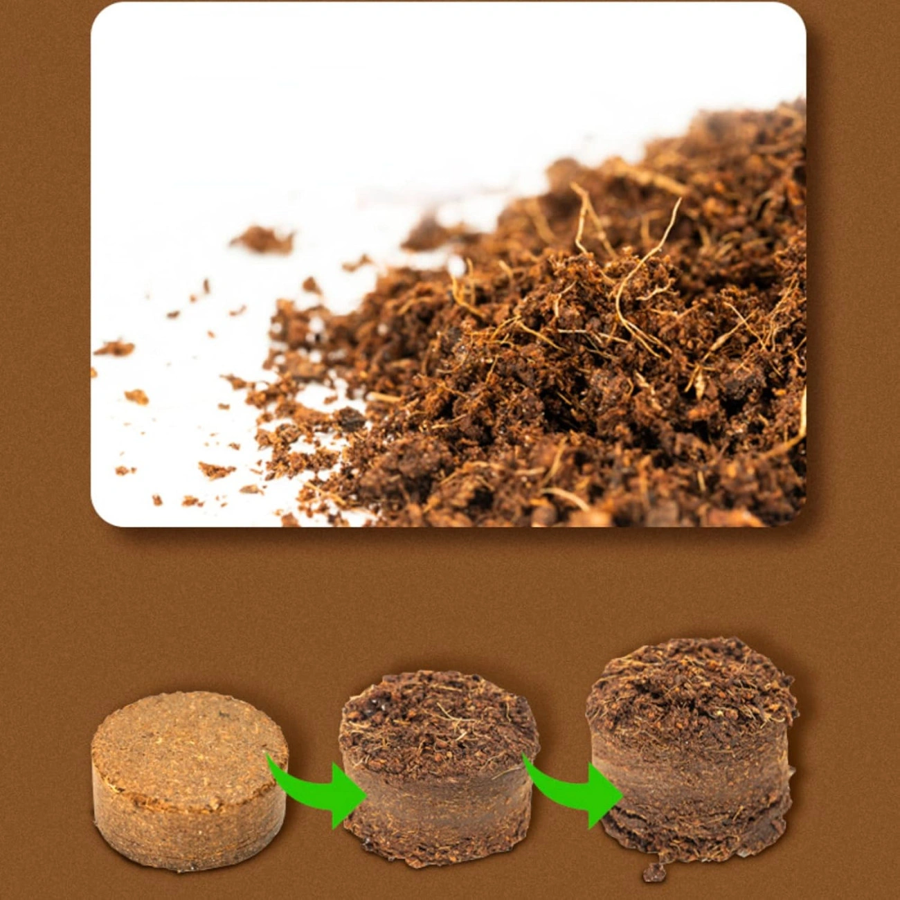 Детский садоводческий набор с мини-теплицей для роста растений (29075264) - фото 9 Детский садоводческий набор с мини-теплицей для роста растений (29075264) - фото 9