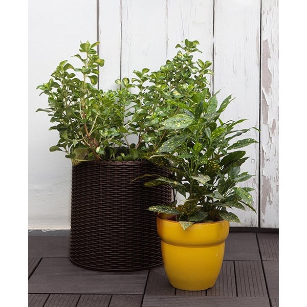 Горщик Keter S Cylinder Planter Коричневий (17197934521_S) - фото 6