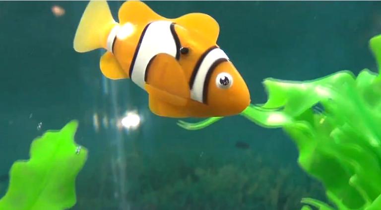 Рибка-робот Robofish на батарейках Помаранчевий 184063 - фото 2 Рибка-робот Robofish на батарейках Помаранчевий 184063 - фото 2