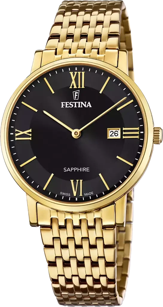 Наручные часы мужские Festina Classics Swiss Made F20020/3