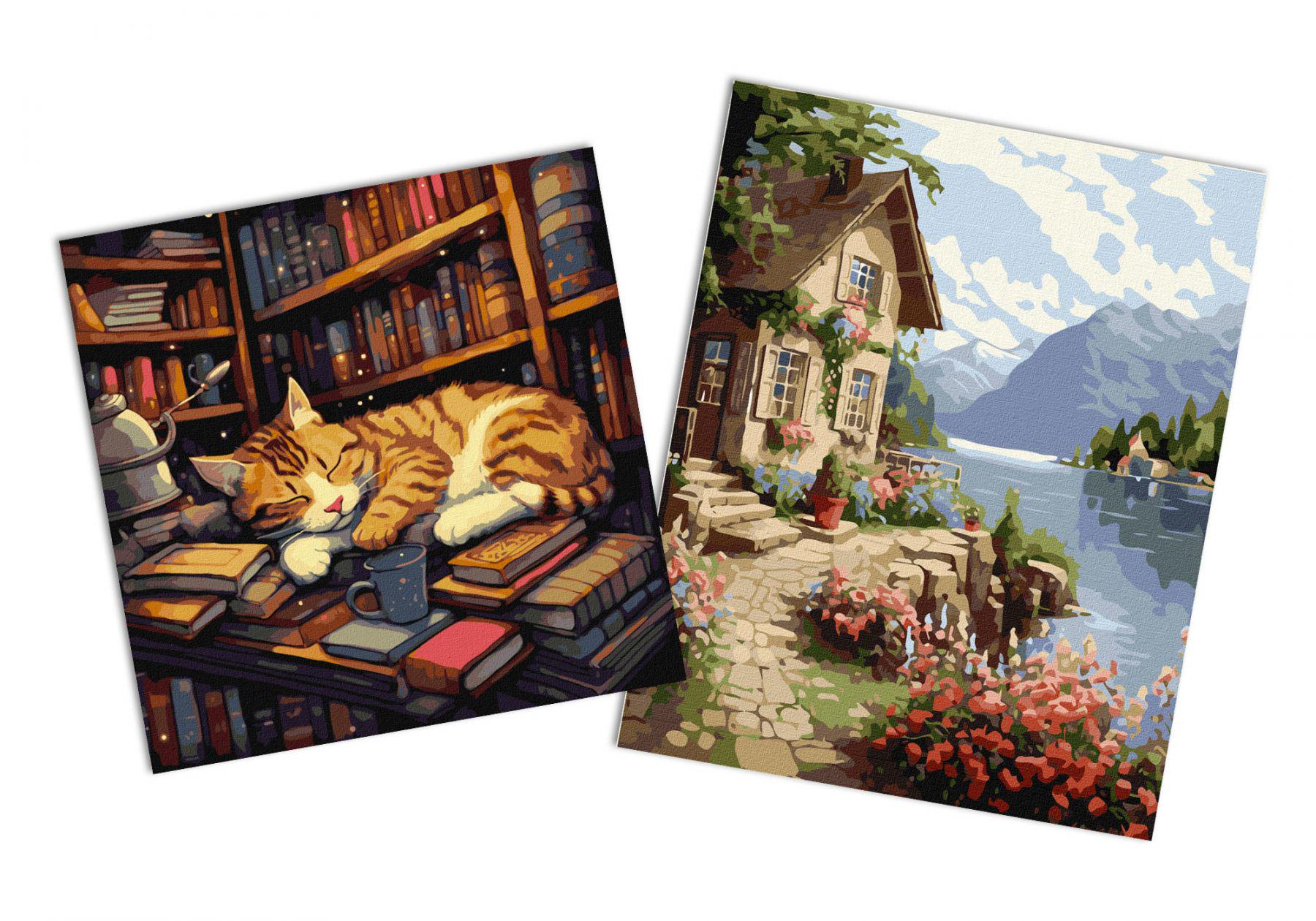 Набор картин по номерам Идейка 2в1 Домик садовницы 40x50 см KHO6326 и Пушистый книголюб 40x40 см KHO6505 (CKHO2605)
