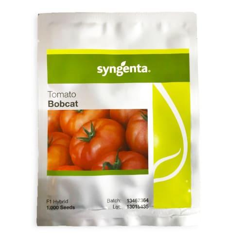 Насіння Томат Florium Бобкат Syngenta 1000 насінин (16223) - фото 2 Насіння Томат Florium Бобкат Syngenta 1000 насінин (16223) - фото 2