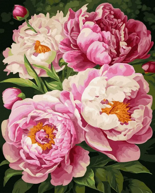 Картина по номерам Brushme Розовые пионы 40x50 см (BRM47323)