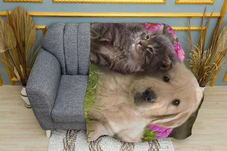 Плед Kitten and puppy Little friends плюш одношаровий 135х150 см (113992)