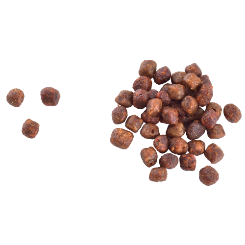 Корм сухий Brit Care Cat by Nutrition Kitten Gentle Digestion Strong Immunity с лососем 2 кг - фото 2 Корм сухий Brit Care Cat by Nutrition Kitten Gentle Digestion Strong Immunity с лососем 2 кг - фото 2