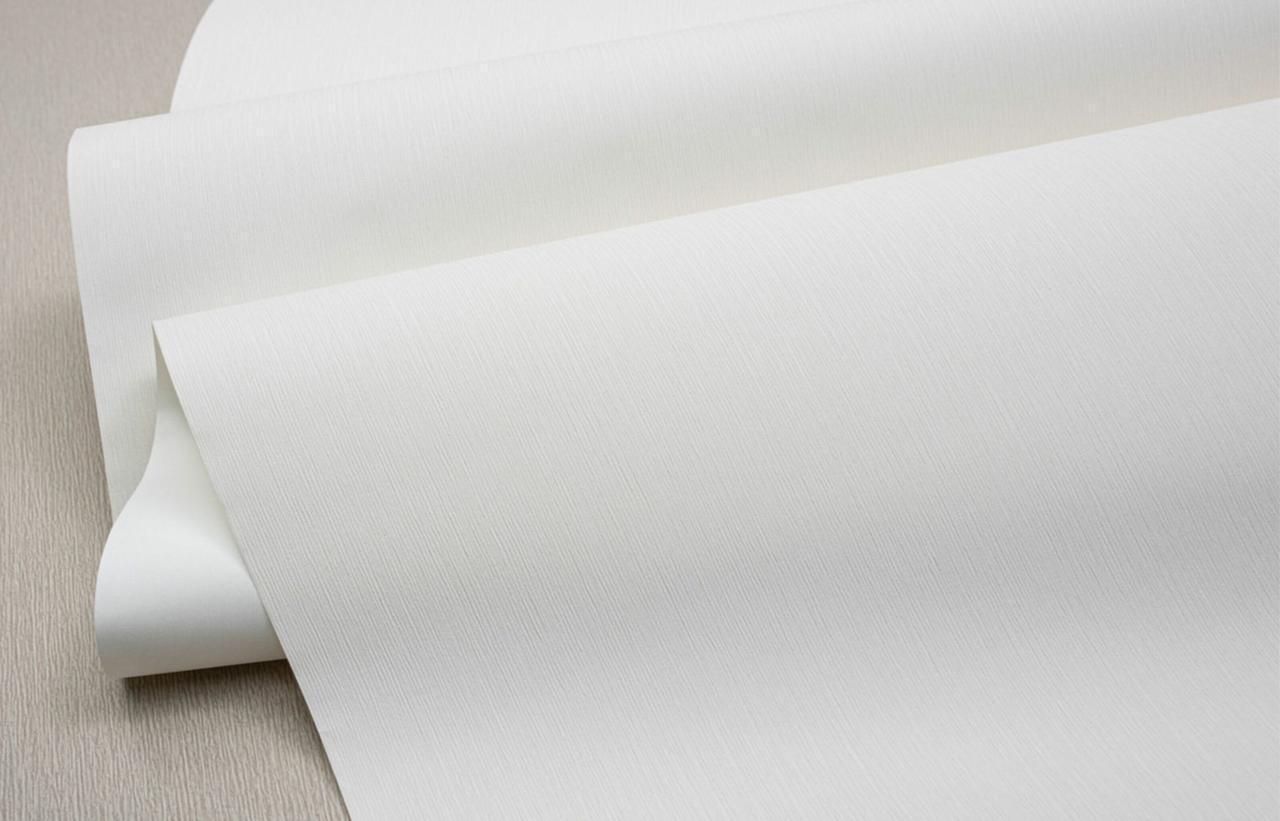 Шпалери флізелінові SINTRA Botanica Timberland UNI 524329 фон вініл гарячого тиснення 1,06х10,05 м Білий