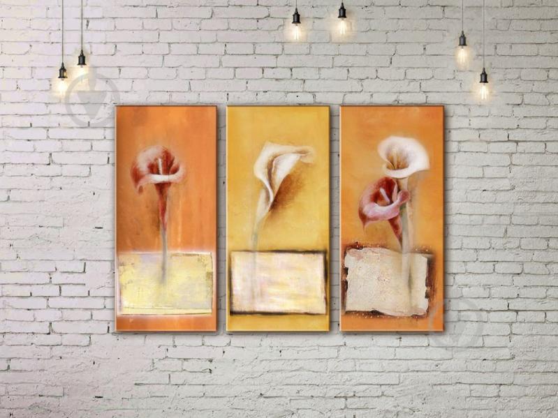 Модульная картина акрилом цветы ArtStar MHM17_3_182 размер 60 х 90 см