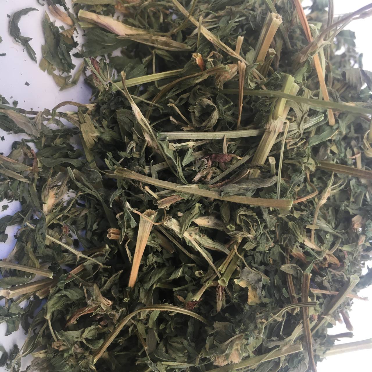 Люцерна трава Карпаты 50 г (62906602461f8b5c0813e455)