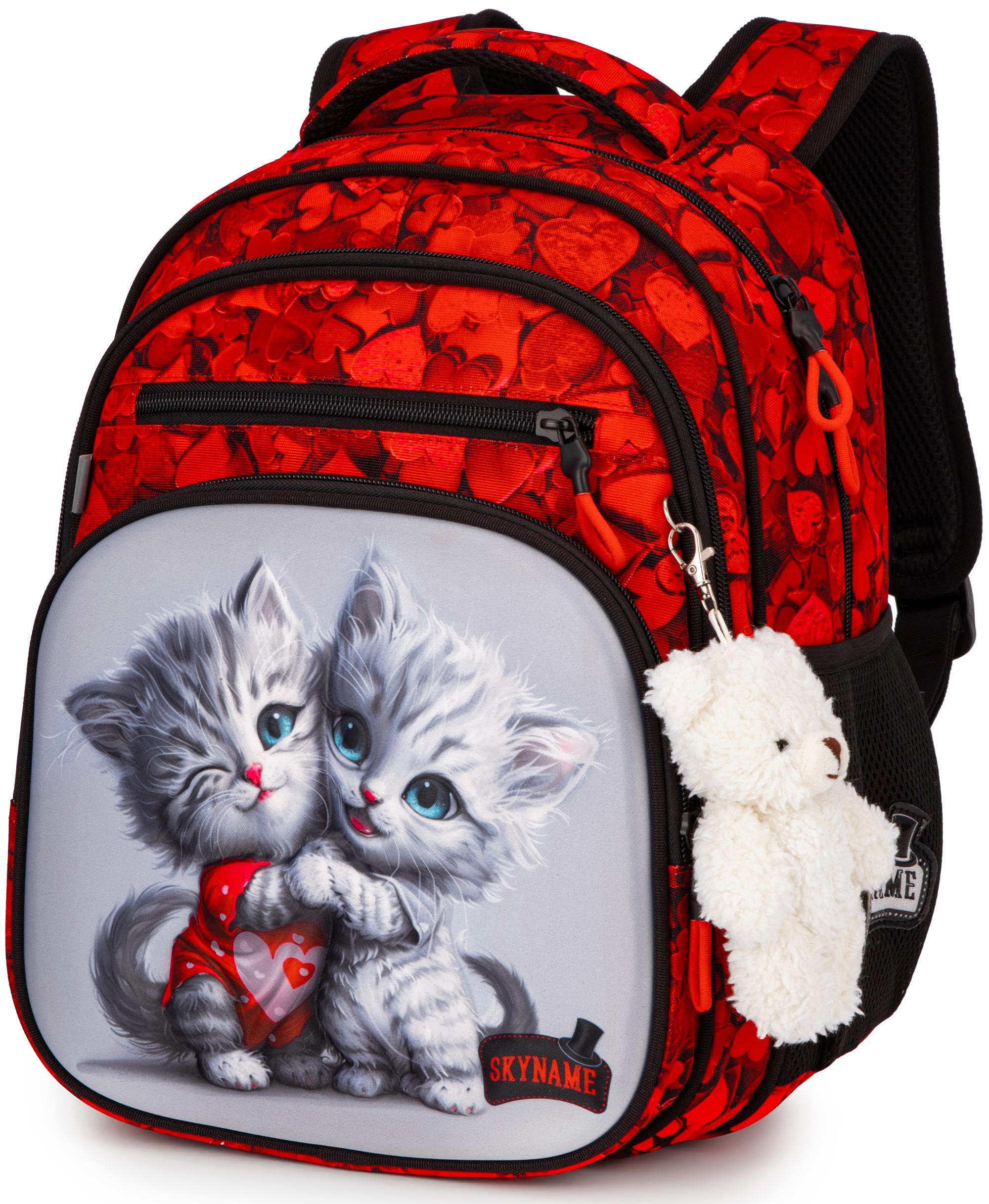 Школьный рюкзак Winner SkyName (R3-279)